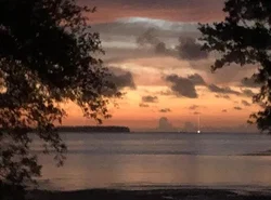 Peaceful Treetop Condo - 2br/2ba