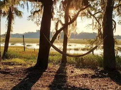 Secluded Tiny House by the Marsh with Hunting Island Beach Pass