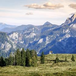 Salzburg Accommodation Rooms