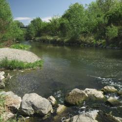 Schwechat Accommodation Rooms