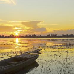 Pantanal Accommodation Rooms