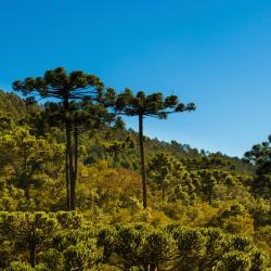 Parana Accommodation Rooms