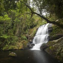 Serra da Bocaina National Park Accommodation Rooms