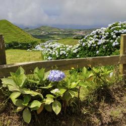 Serra Gaucha Accommodation Rooms