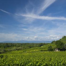 Baden-Württemberg Accommodation Rooms