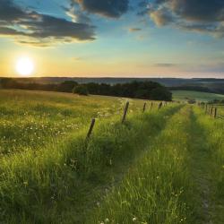 Eifel Accommodation Rooms