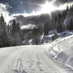 Feldberg Accommodation Rooms