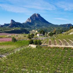 Murcia Accommodation Rooms