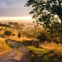Hertfordshire Accommodation Rooms