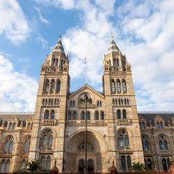 Natural History Museum, London Accommodation Rooms