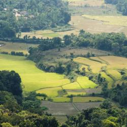 Coorg Accommodation Rooms