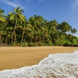 South Goa Accommodation Rooms