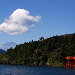 Hakone Accommodation Rooms