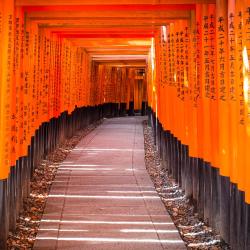 Kyoto Accommodation Rooms