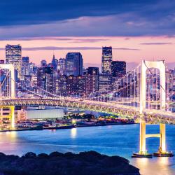 Tokyo Accommodation Rooms