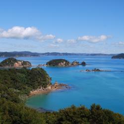Bay of Islands Accommodation Rooms