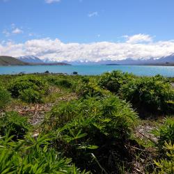 Lake Tekapo Accommodation Rooms