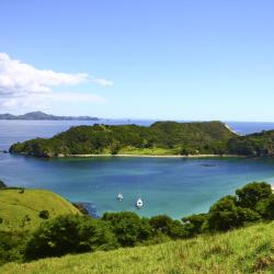 North Island Accommodation Rooms