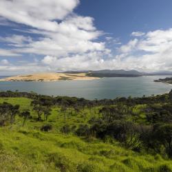 Northland Accommodation Rooms