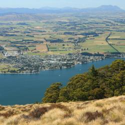 Te Anau Accommodation Rooms
