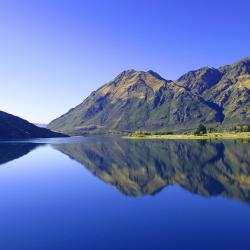 Wanaka Accommodation Rooms