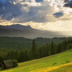 Gmina Bukowina Tatrzanska Accommodation Rooms