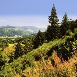 Lodz Accommodation Rooms