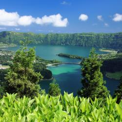 Azores Accommodation Rooms