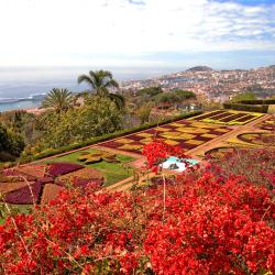 Funchal Accommodation Rooms