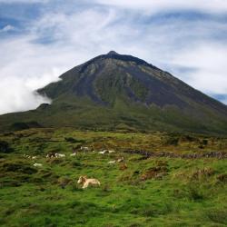 Pico island Accommodation Rooms