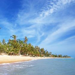 Koh Samui Accommodation Rooms
