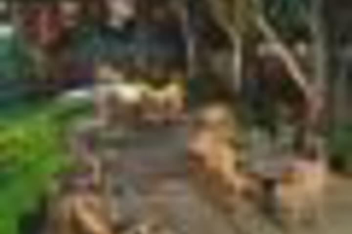 Bethesda Court - thumb 6