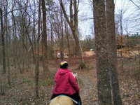 Book Cities Accommodation Vacations, Accommodation Rooms Accommodation Rooms