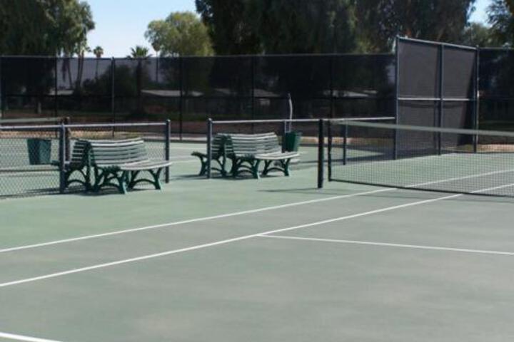 Roadrunner Club 299 Home - thumb 6