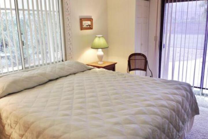 Roadrunner Club 299 Home - thumb 2