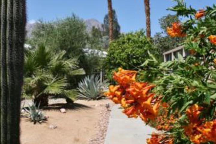 Roadrunner Club 249 Home - thumb 2