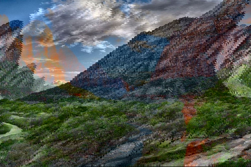 Orchard Cottage - thumb 4