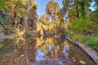 Riverfront Cottage in Redwoods w / Decks  Beach