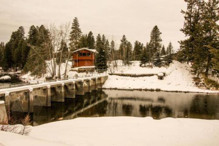 Forest Cabin - thumb 4