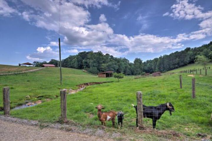 Cabin On Working Alpaca Ranch Near Wineries! - thumb 2