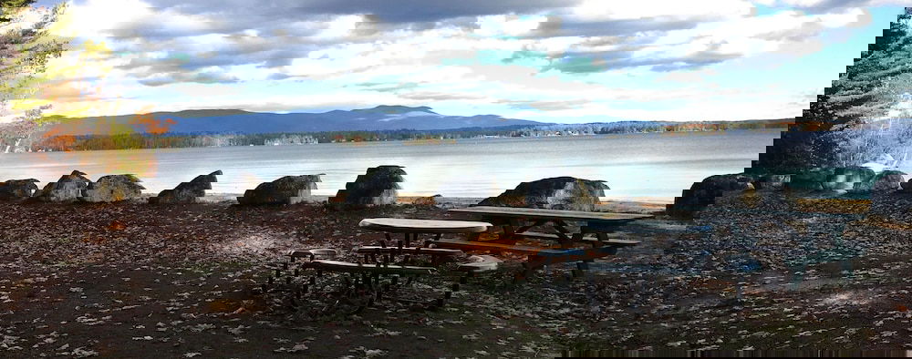 Sutton House B & B - thumb 0