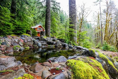 Swedish Stuga Vacation Rental - thumb 2