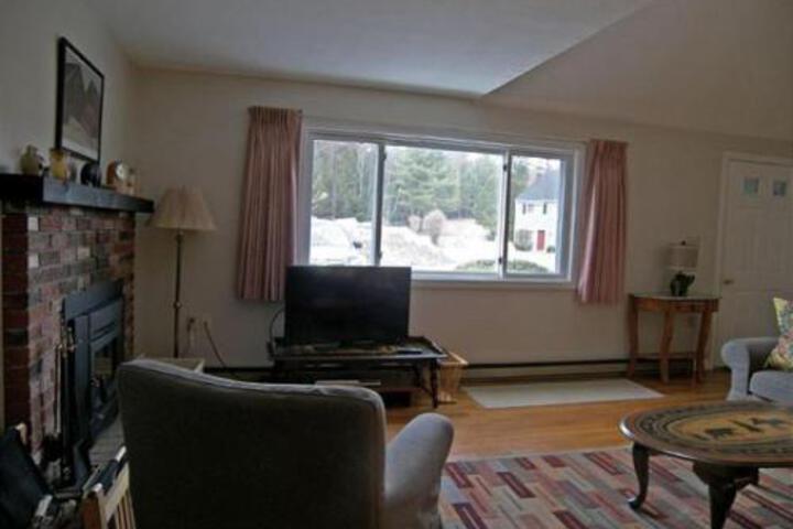 Alpine Village Resort 122 - thumb 5