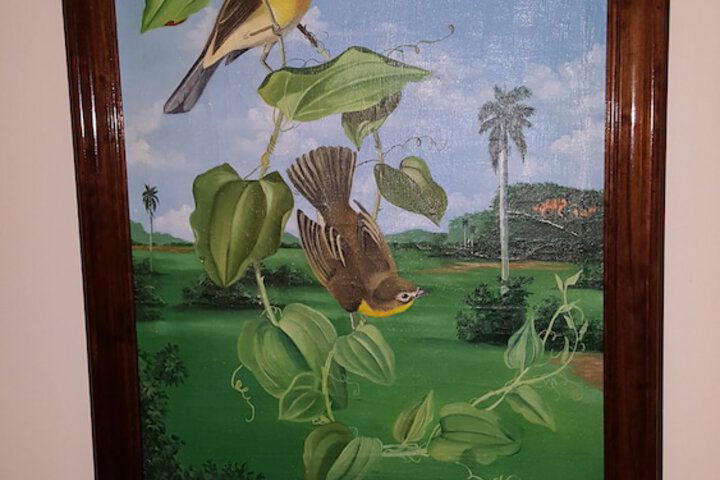 The Caribbean Court Boutique Hotel - thumb 6