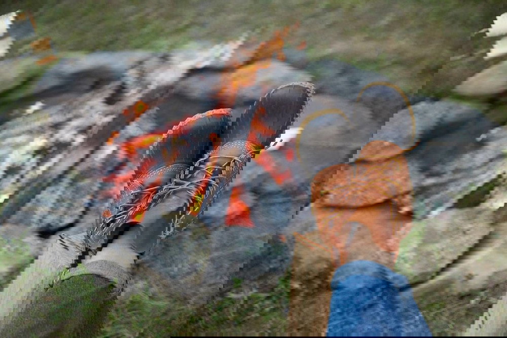 Tentrr Escaping Cow Farm - thumb 2