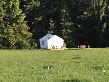 Tentrr Escaping Cow Farm - thumb 5