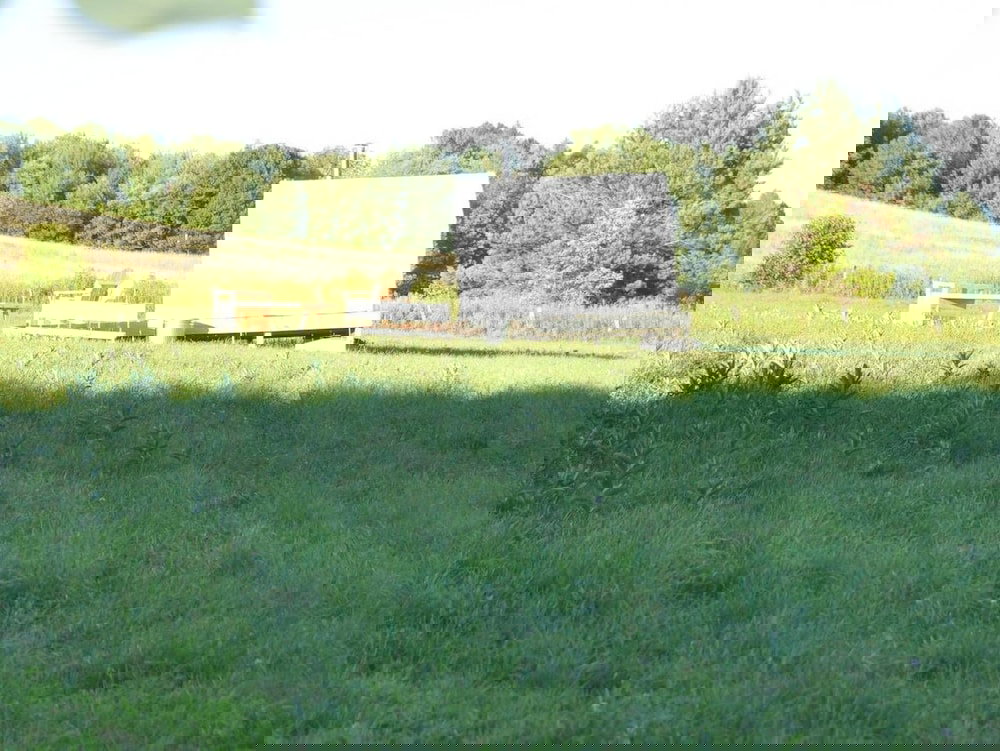 Tentrr Escaping Cow Farm - thumb 4