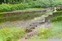 Tentrr Fields of Dreams at Callicoon