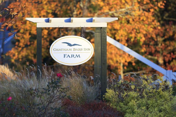 Chatham Bars Inn - thumb 1