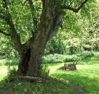Wagener Estate Bed  Breakfast - Accommodation Rooms